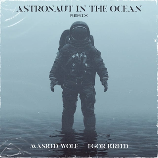 Astronaut in the Ocean