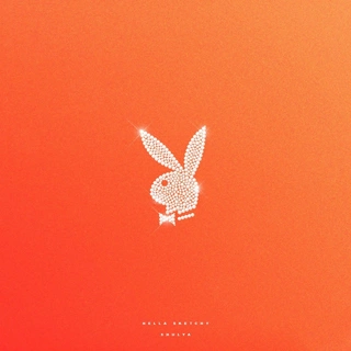 PLAYBOY
