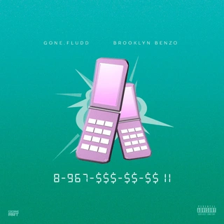 8-967-$$-$-$ II