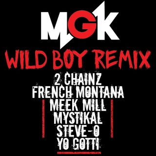 Wild Boy