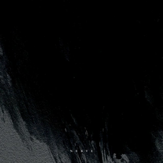 Nerve